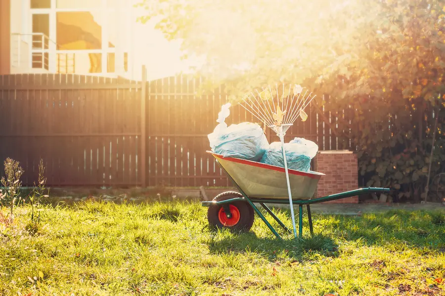 The Importance Of Professional Yard Cleanup For Healthier Gardens in Las Vegas, NV The Importance Of Professional Yard Cleanup For Healthier Gardens in Las Vegas, NV